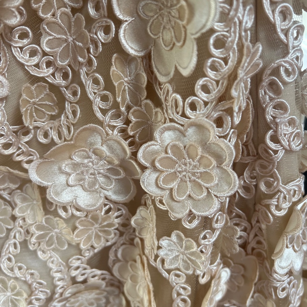 Sue Wong Strapless Champagne Floral Appliqué Cocktail Dress Women's size 12 - Picture 3 of 13